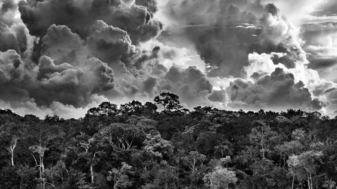 Archipel fluvial de Mariuá, Rio Negro, État d’Amazonas, Brésil, 2019 © Sebastião Salgado