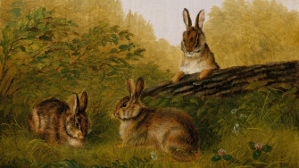 Chardin, Dürer, Van Gogh : 15 lapins iconiques de l’histoire de l’art