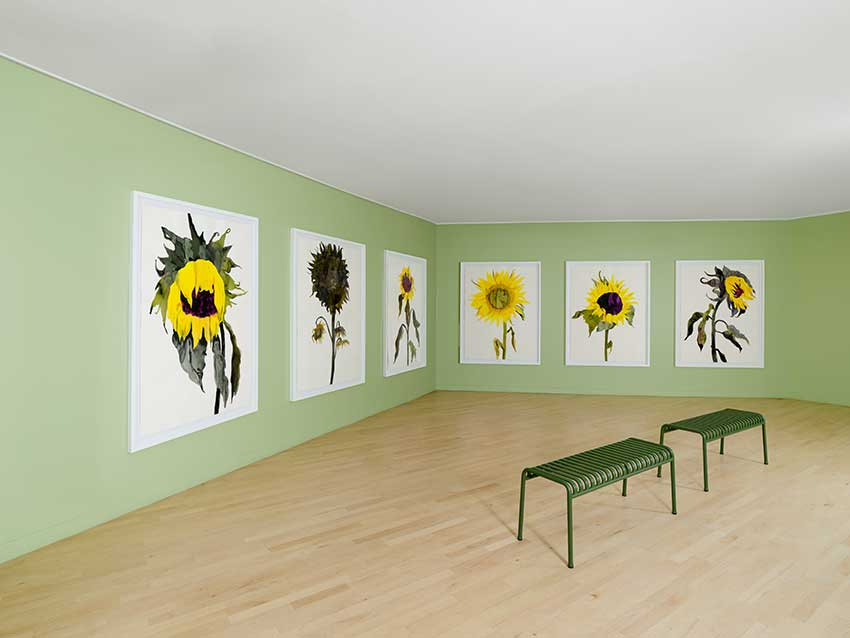 Vue de l’exposition « Morisot/Pétrovitch. Soleil » de Françoise Pétrovitch dans la salle des « Dialogues inattendus » du musée Marmottan Monet © Studio Christian Baraja SLB