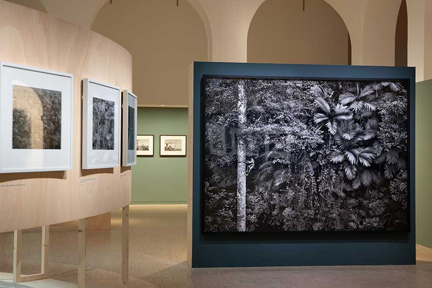 Vue de l'exposition « Sebastião Salgado. Collection de la MEP » aux Franciscaines de Deauville, 2025 © Photo : Naïade Plante