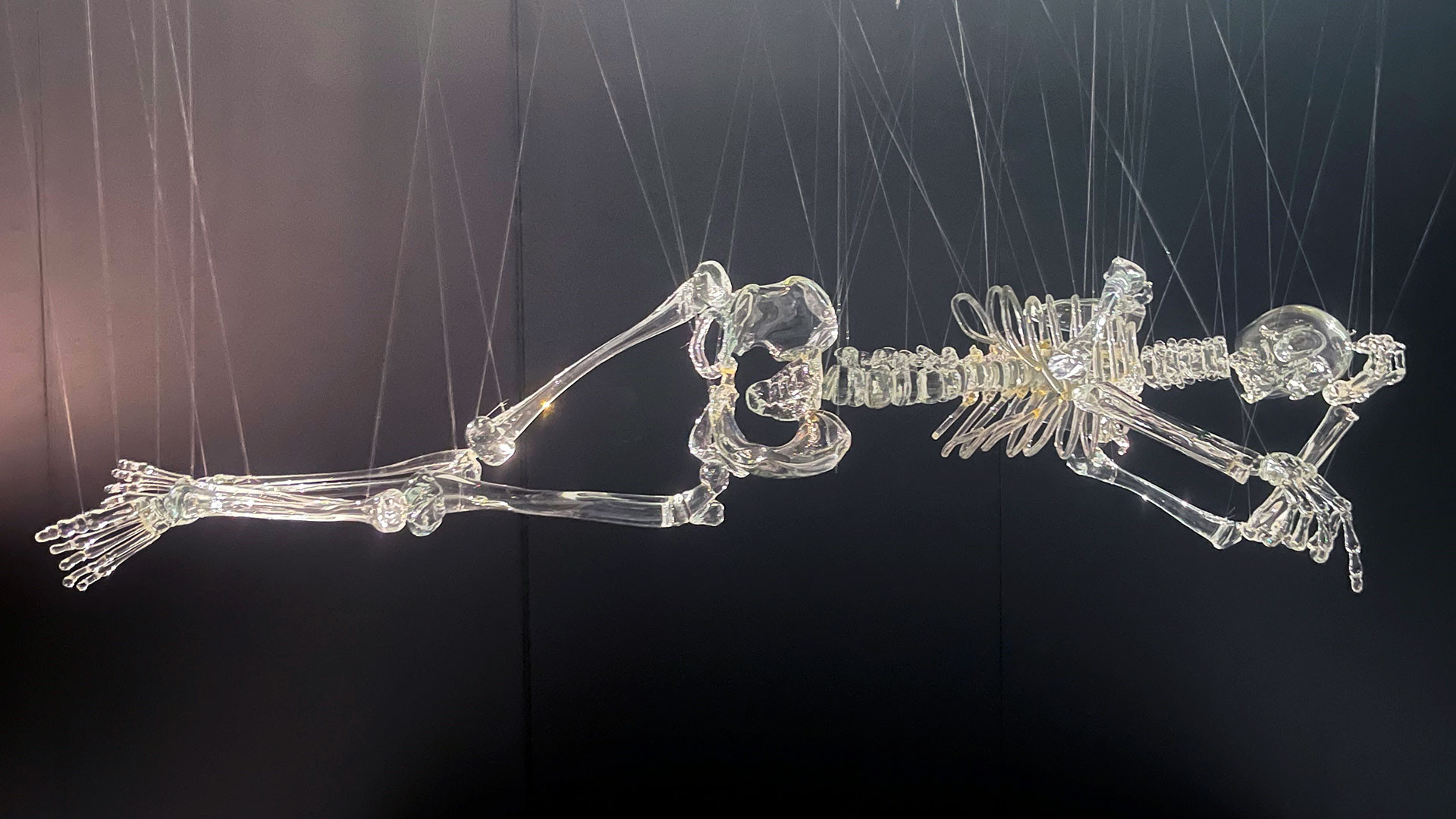 Exposition : une plongée poétique dans les mystères du corps humain au MusVerre