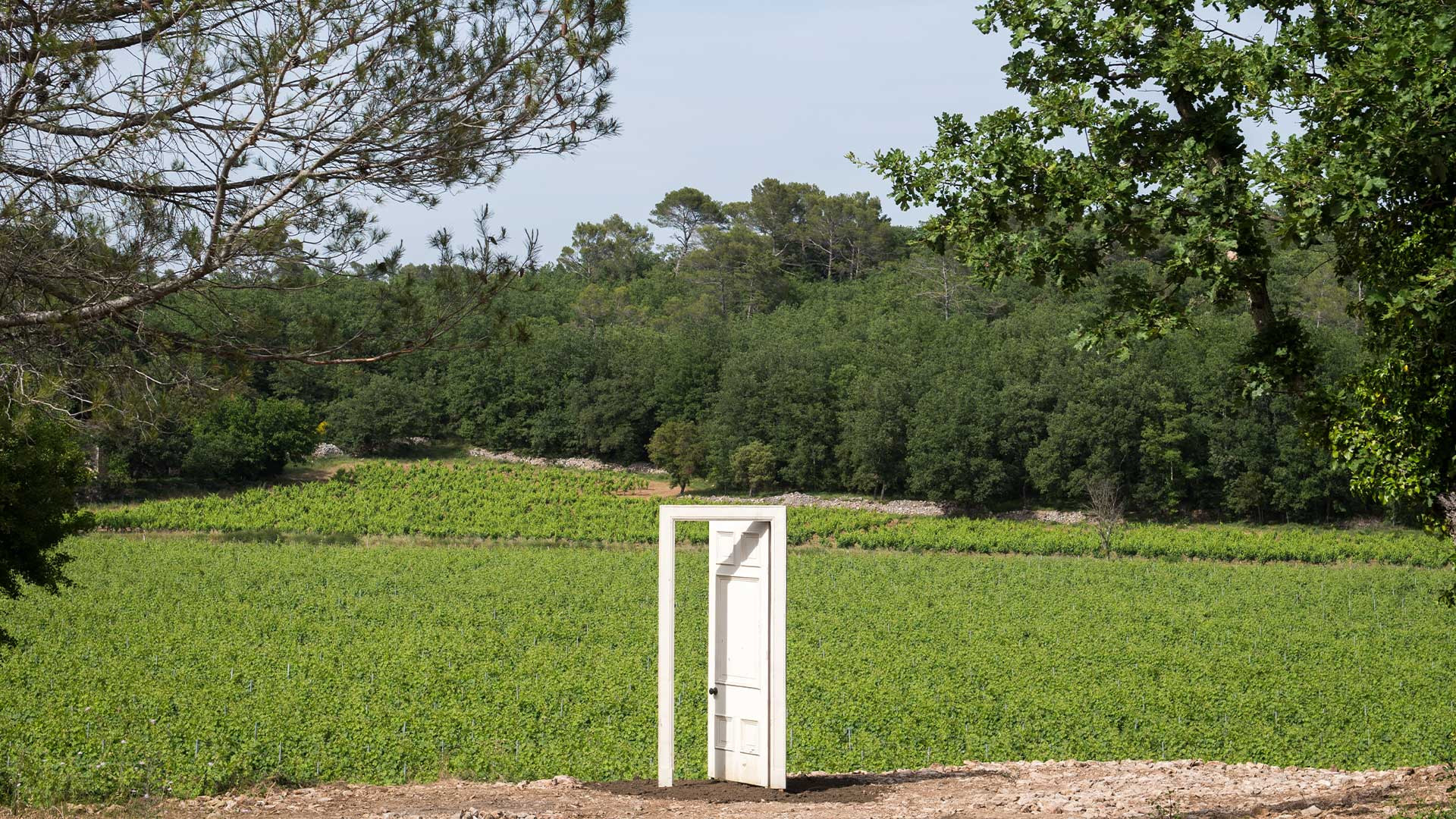 En Provence, un riche musée en plein air d’art contemporain niché au cœur des vignes