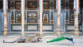 Photo : Karen Knorr, l’imagination au pouvoir