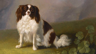 Bosch, Goya, Renoir : les 20 plus beaux chiens de l’histoire de l’art