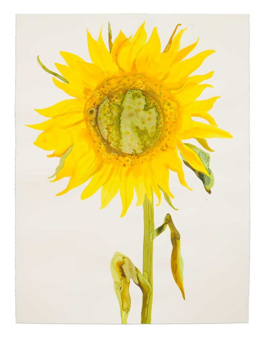 Françoise Pétrovitch, Soleil, 2024, lavis d’encre sur papier, 160 × 120 cm © Aurélien Mole, avec l’aimable autorisation de la galerie Semiose © Françoise Pétrovitch / Adagp 2025