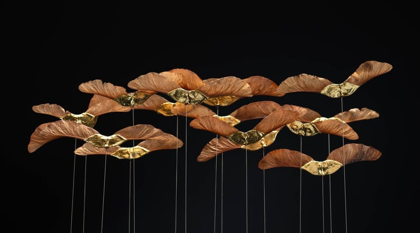 Sophie Blanc, Une lumière dans l'enfance, disamares d'érable plane dorés pour partie à la feuille d'or, 2024 © Sophie Blanc